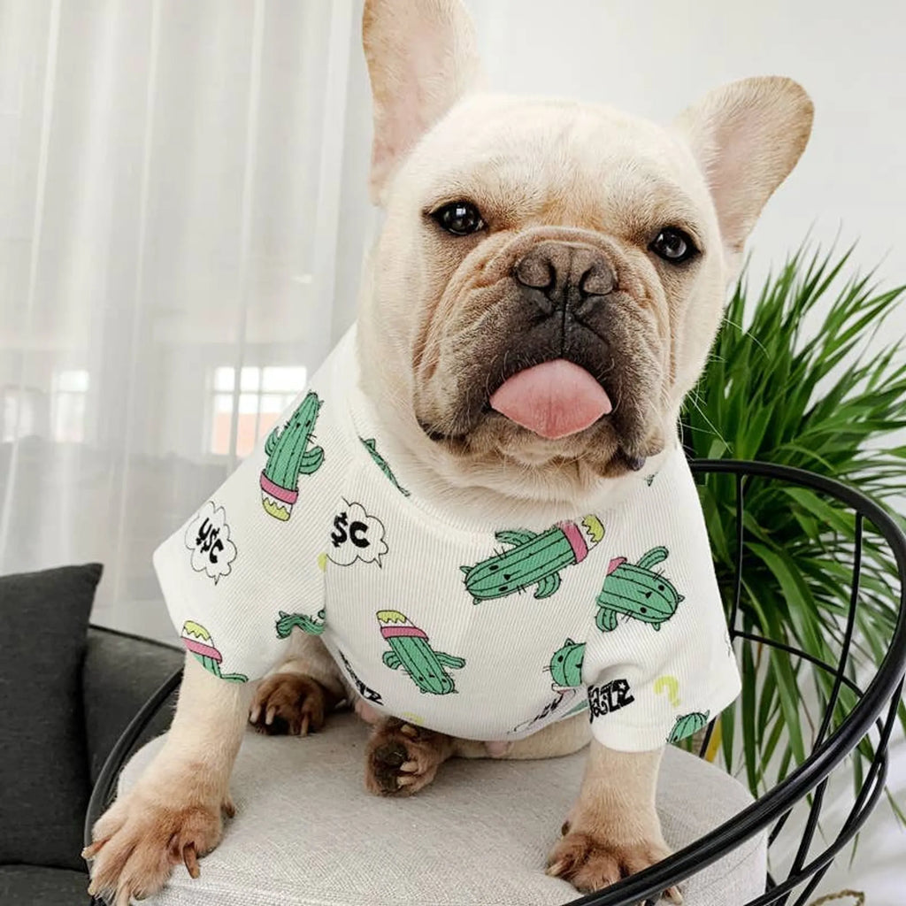 Green Dinosaur - Matching Pet and Owner Clothing Set