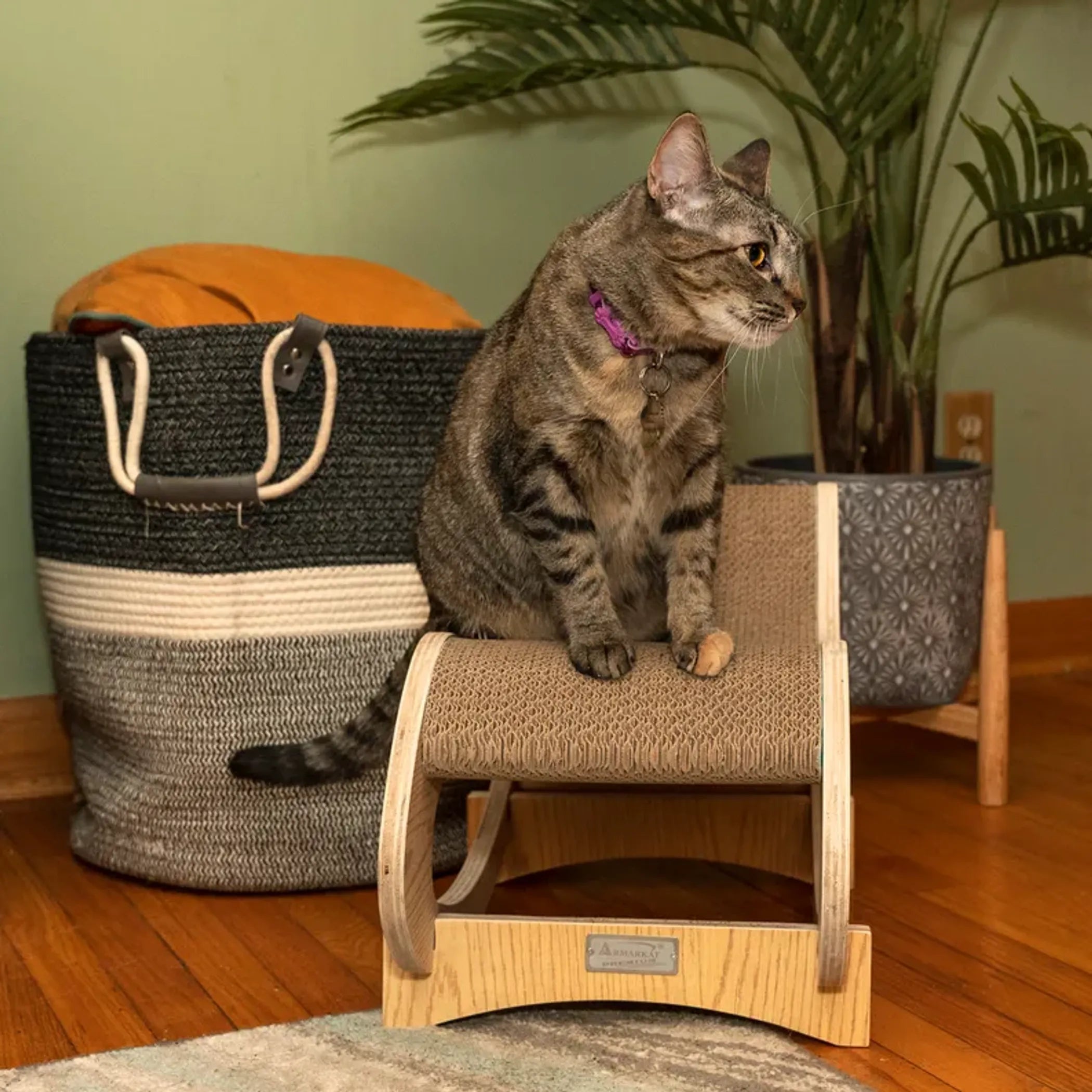 Detachable Cat Rocking/Swing Chair, Medium (S1302)