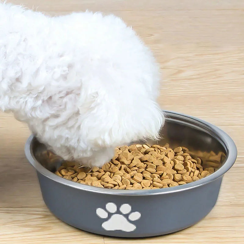 Cat & Dog Stainless Steel Bowl – Printed Pet Food & Water Basin