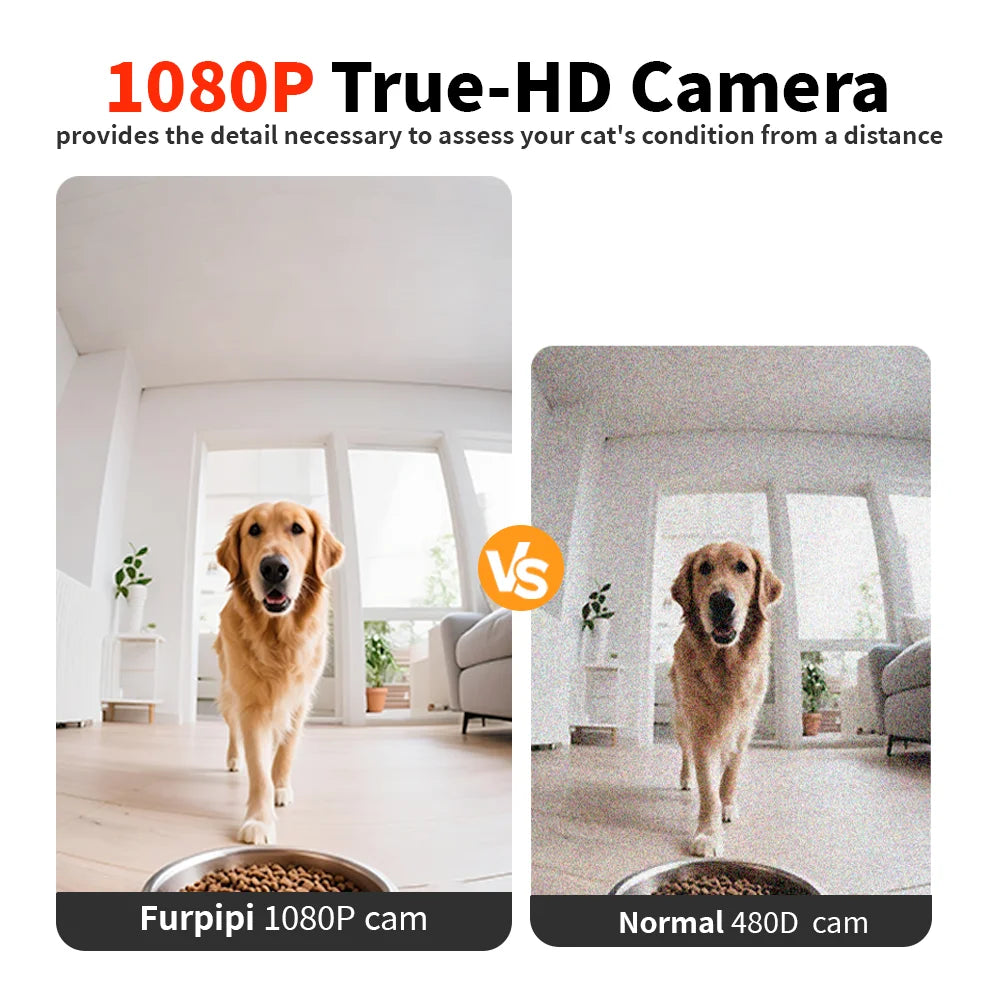 Smart Automatic Cat Feeder with Camera and App Control