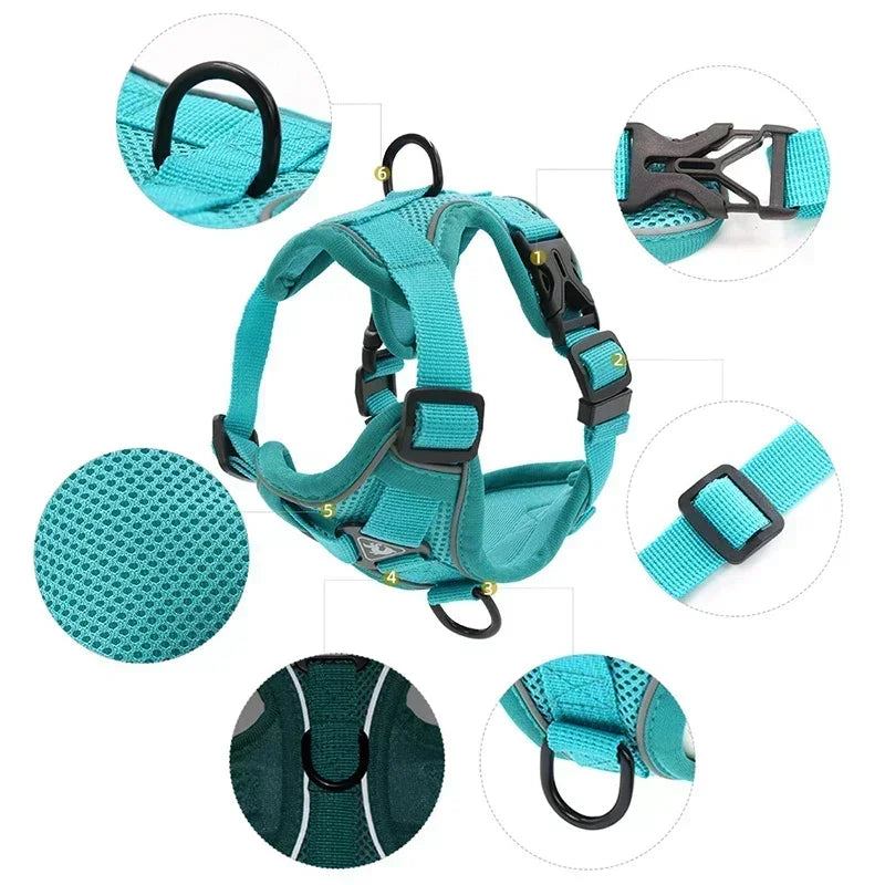 No-Pull Adjustable Dog & Cat Harness Set, Reflective Mesh
