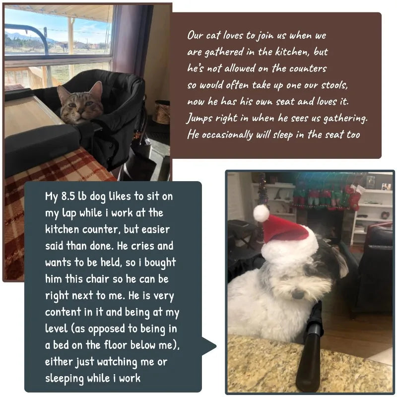 Portable Adjustable Pet Feeding Booster Seat – Cat & Dog High Chair