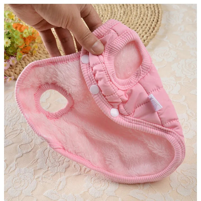 Trendy Winter Dog Jacket for Small & Medium Dogs