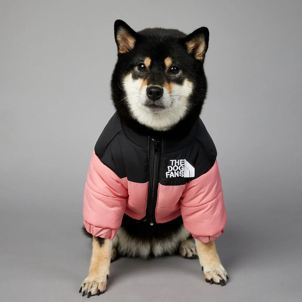 Winter Pet Dog Down Jacket Clothes