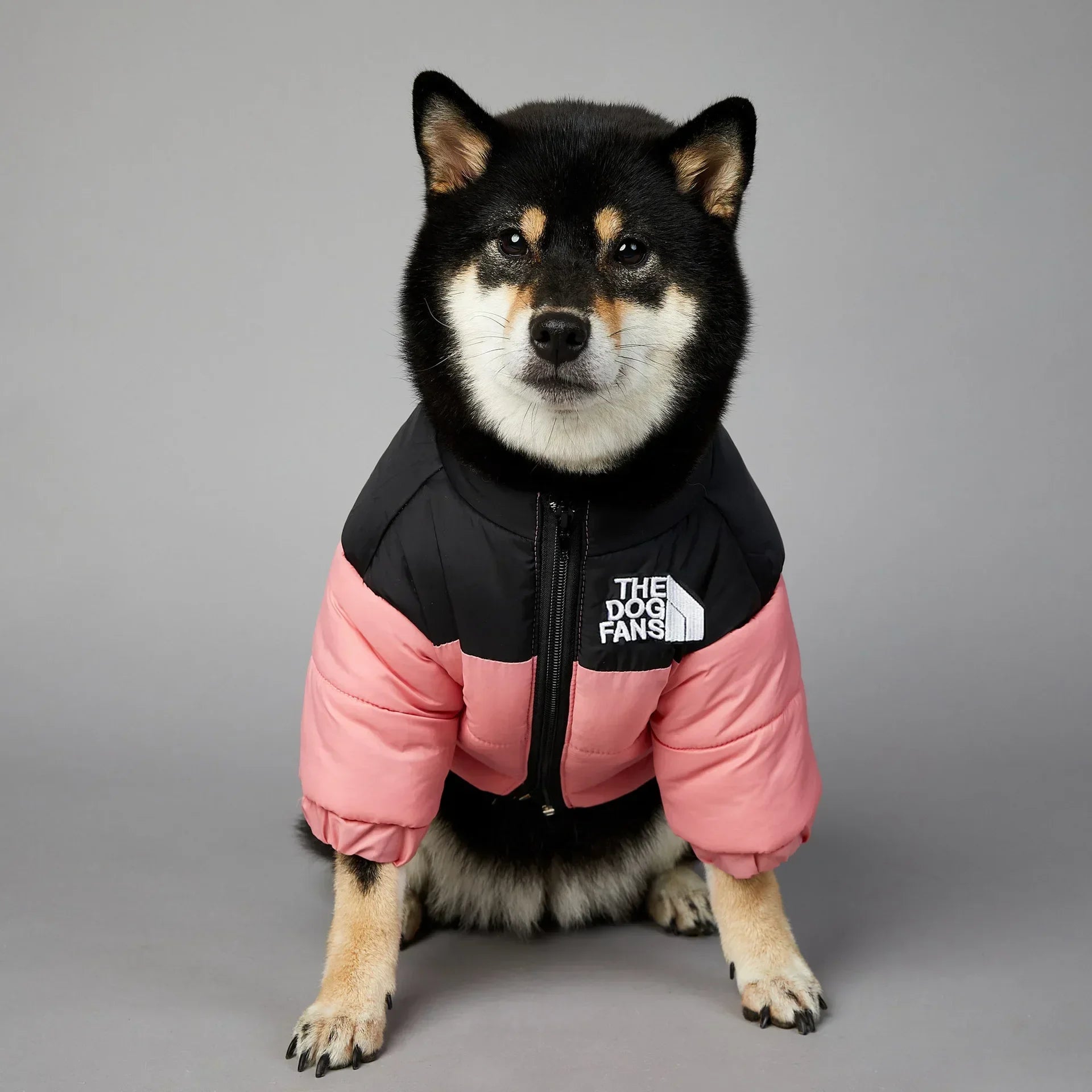Winter Pet Dog Down Jacket Clothes