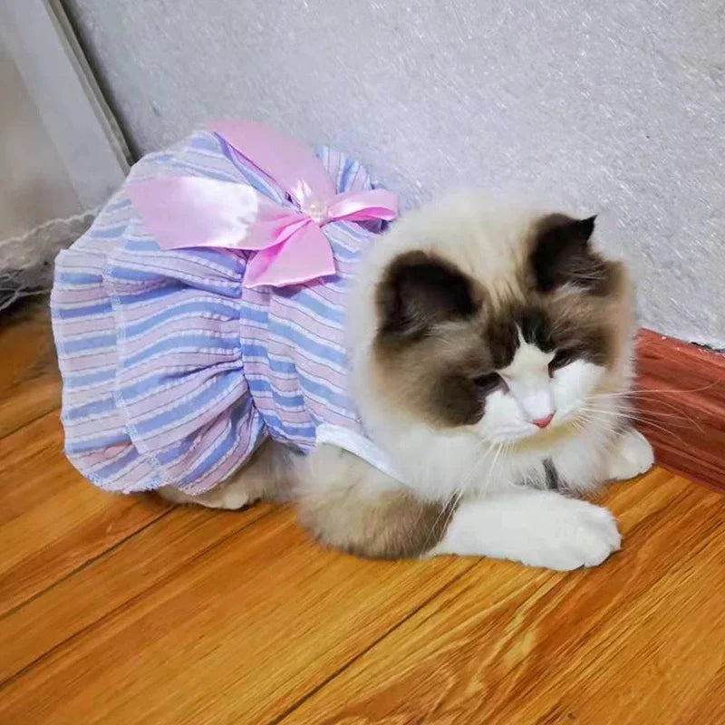 Pet Cat or Puppy Princess Dress