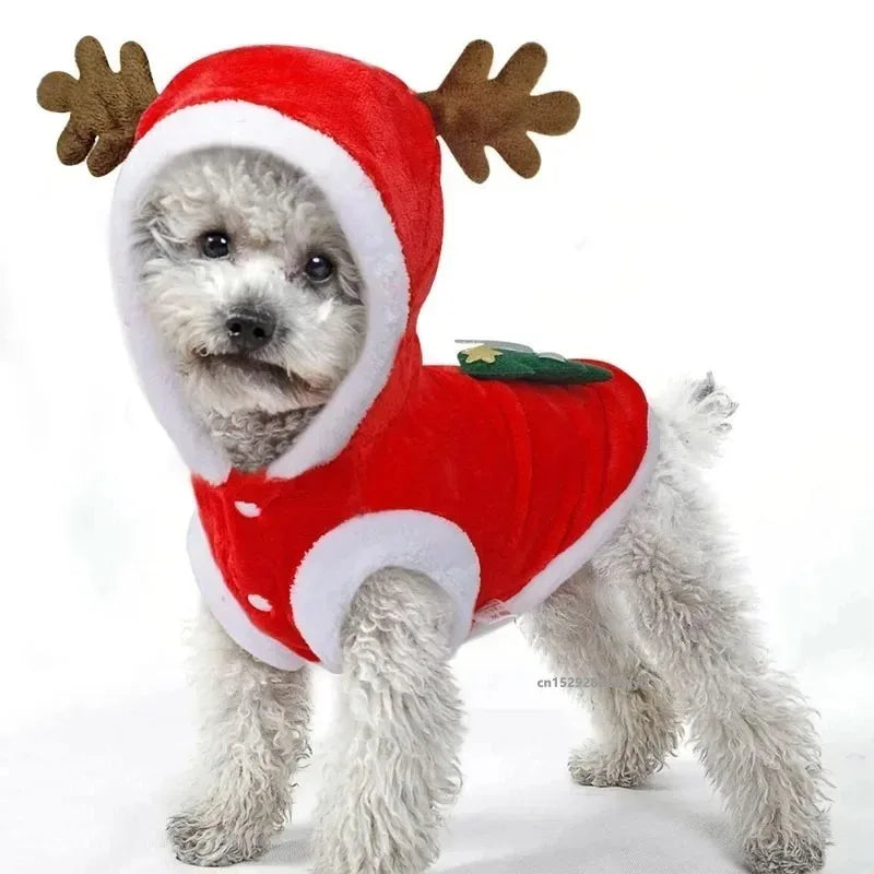 Christmas Dog Hoodie with Antlers – Festive Red Winter Coat for Pets