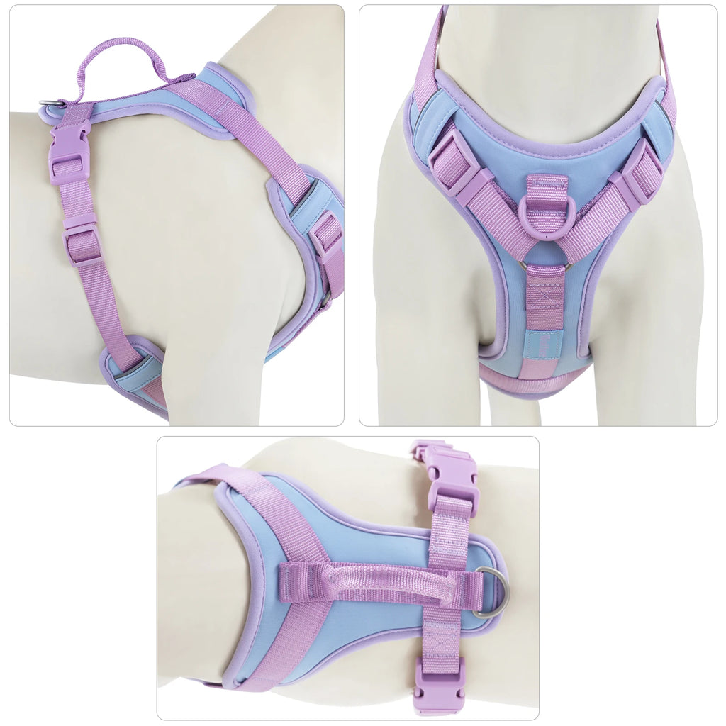 Spliced Color Luxury Dog Harness, No-Pull, Adjustable for Small & Large Dogs