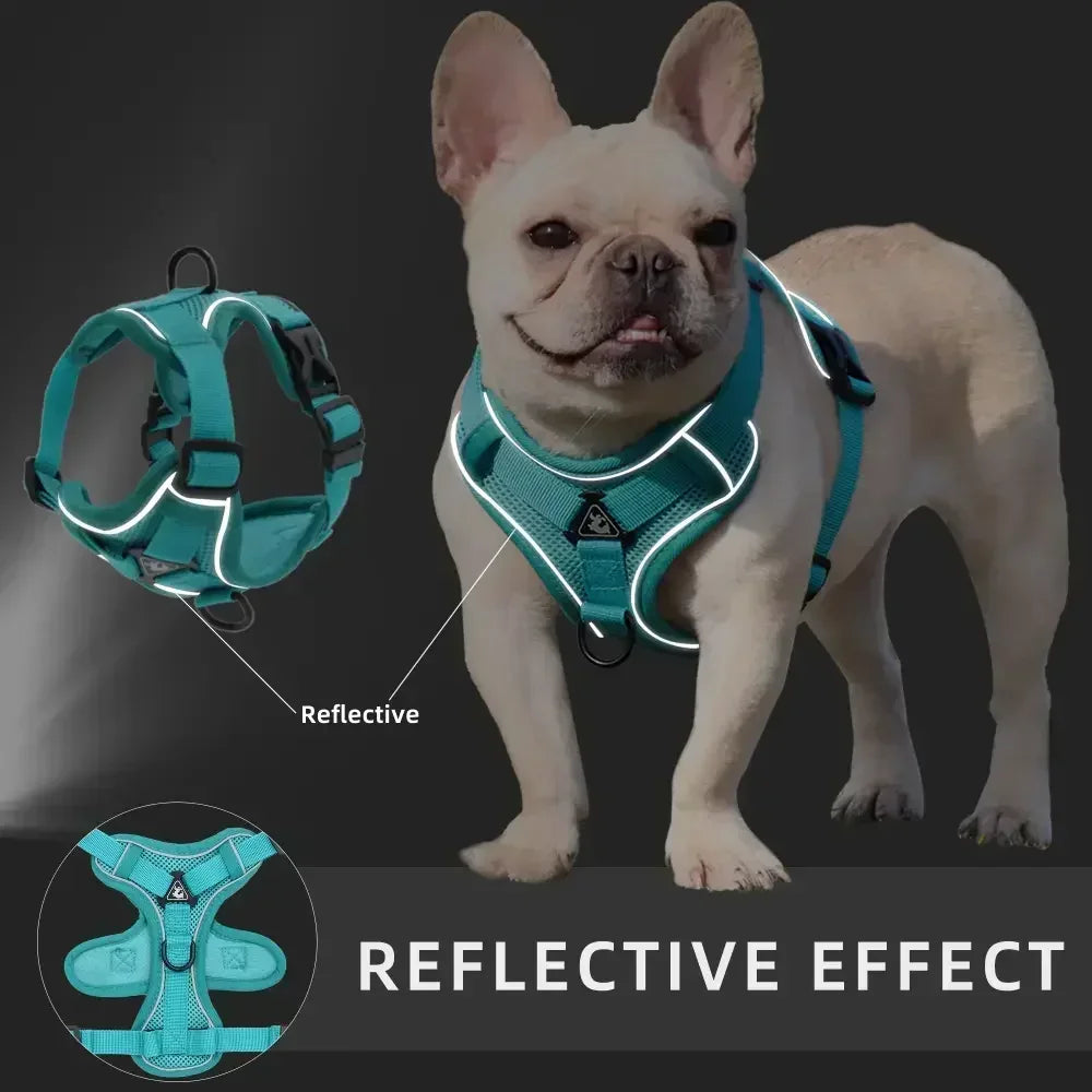 No-Pull Adjustable Dog & Cat Harness Set, Reflective Mesh