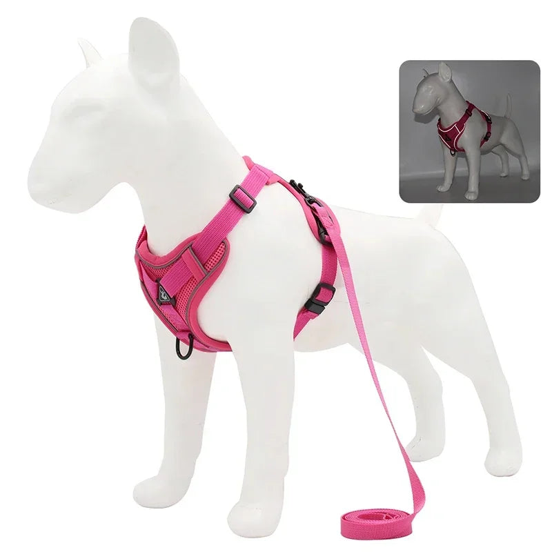 No-Pull Adjustable Dog & Cat Harness Set, Reflective Mesh