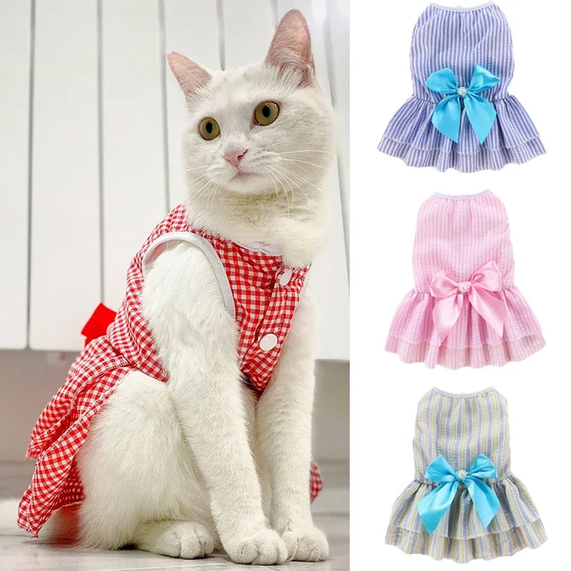 Pet Cat or Puppy Princess Dress