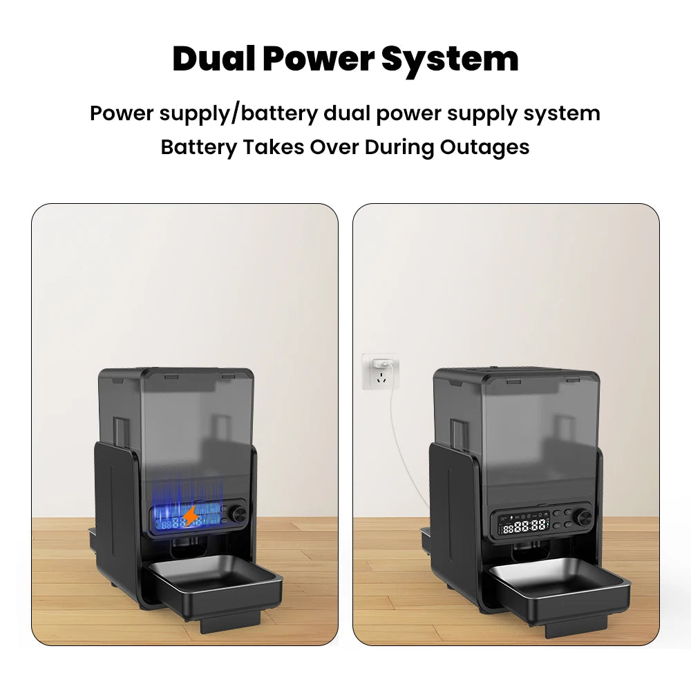 Smart Pet Feeder Automatic for Cats