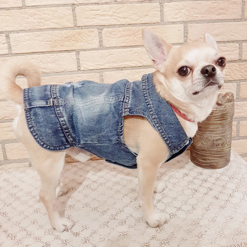 Denim Dog Clothes Cowboy Pet Dog Coat Puppy Clothing
