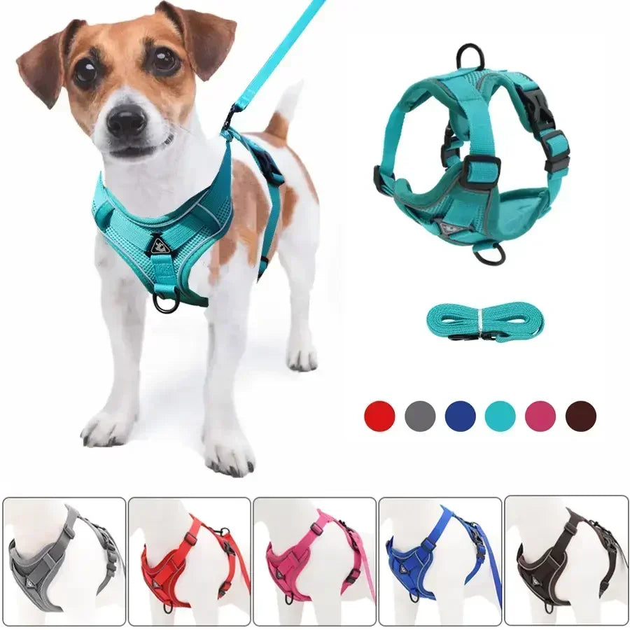 No-Pull Adjustable Dog & Cat Harness Set, Reflective Mesh