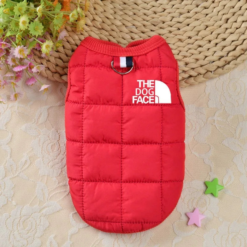 Trendy Winter Dog Jacket for Small & Medium Dogs
