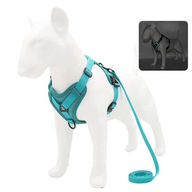 No-Pull Adjustable Dog & Cat Harness Set, Reflective Mesh