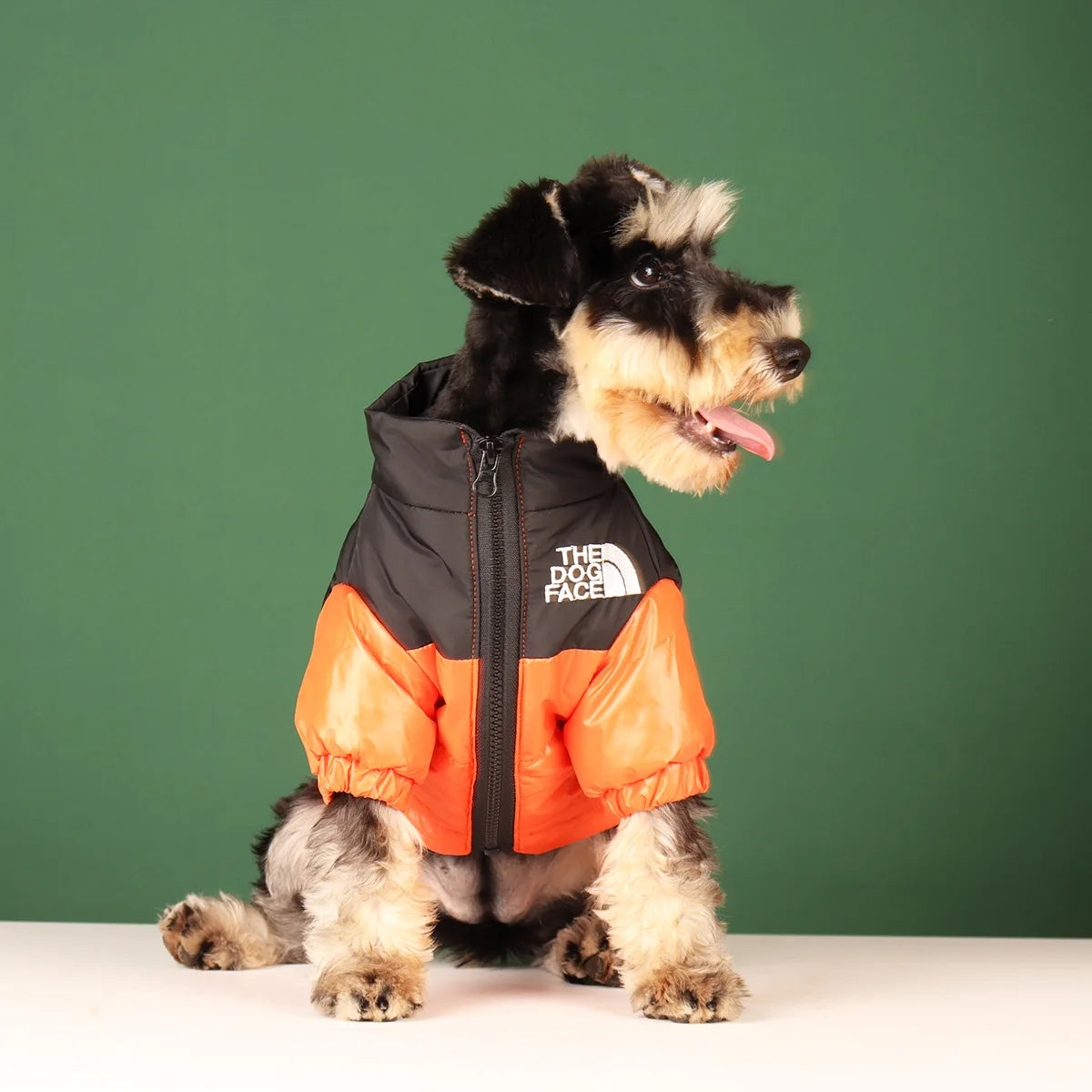 Winter Pet Dog Clothes - Jackets