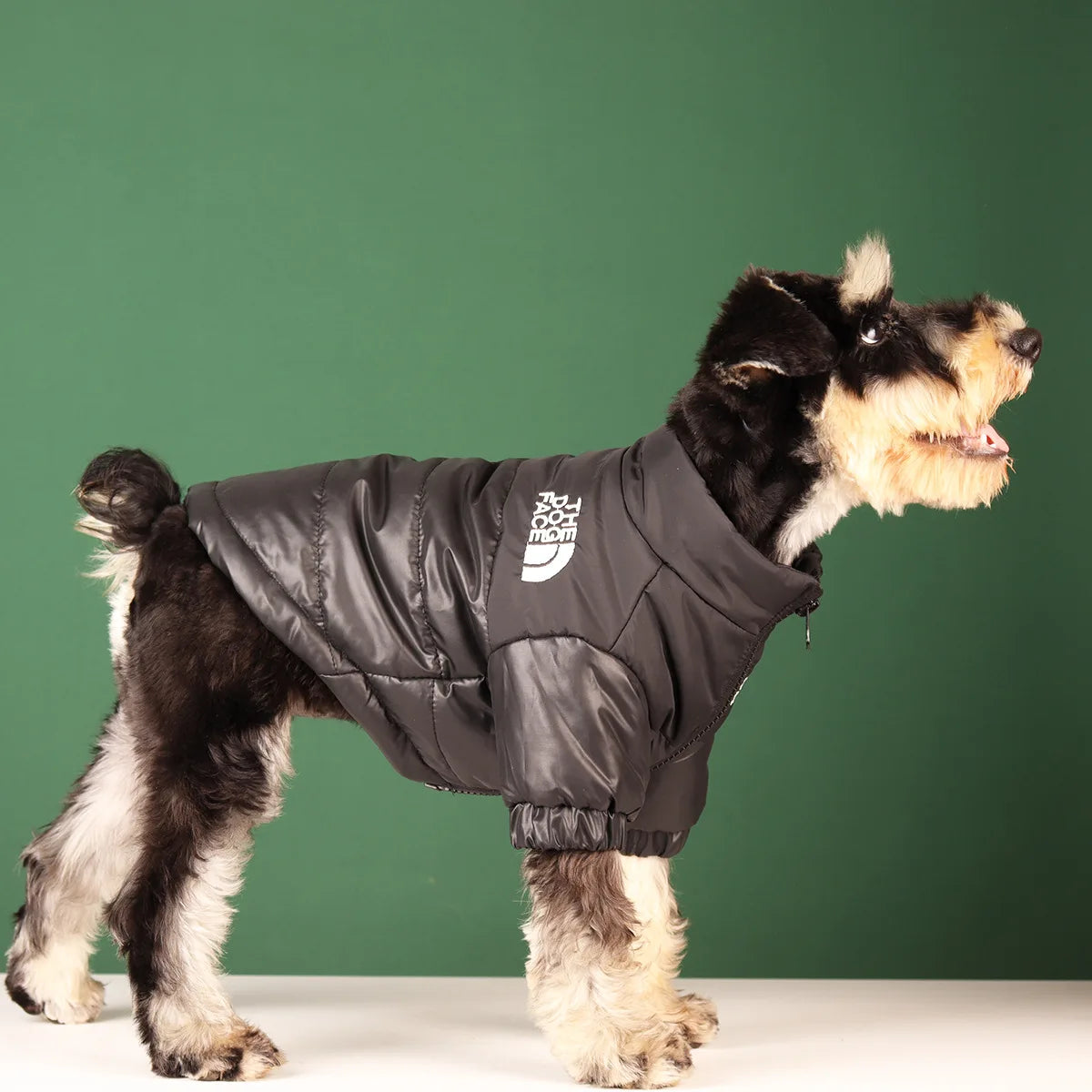 Winter Pet Dog Clothes - Jackets