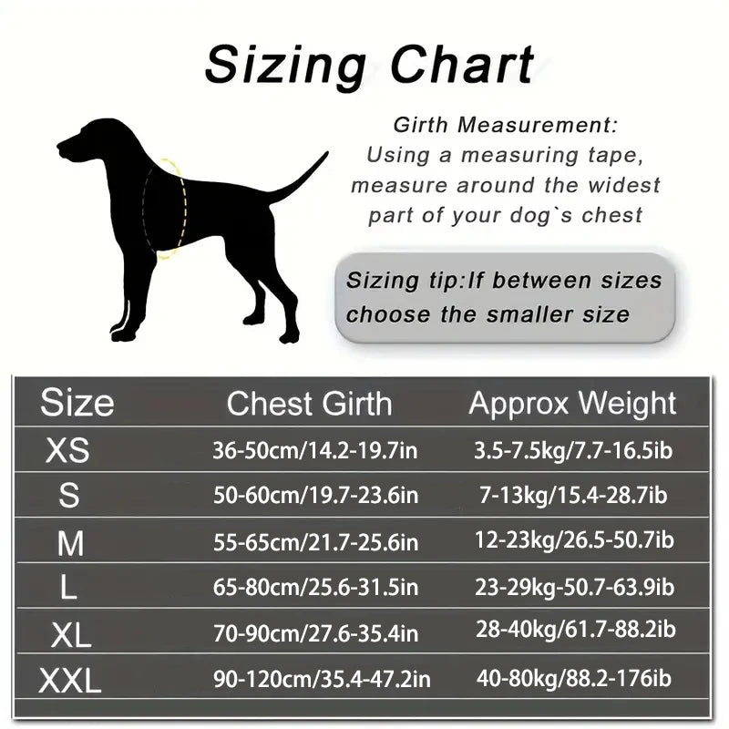 Personalized Dog Harness