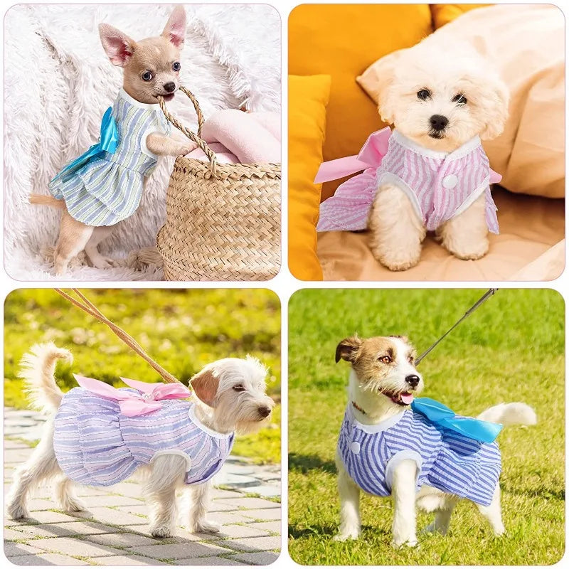 Pet Cat or Puppy Princess Dress