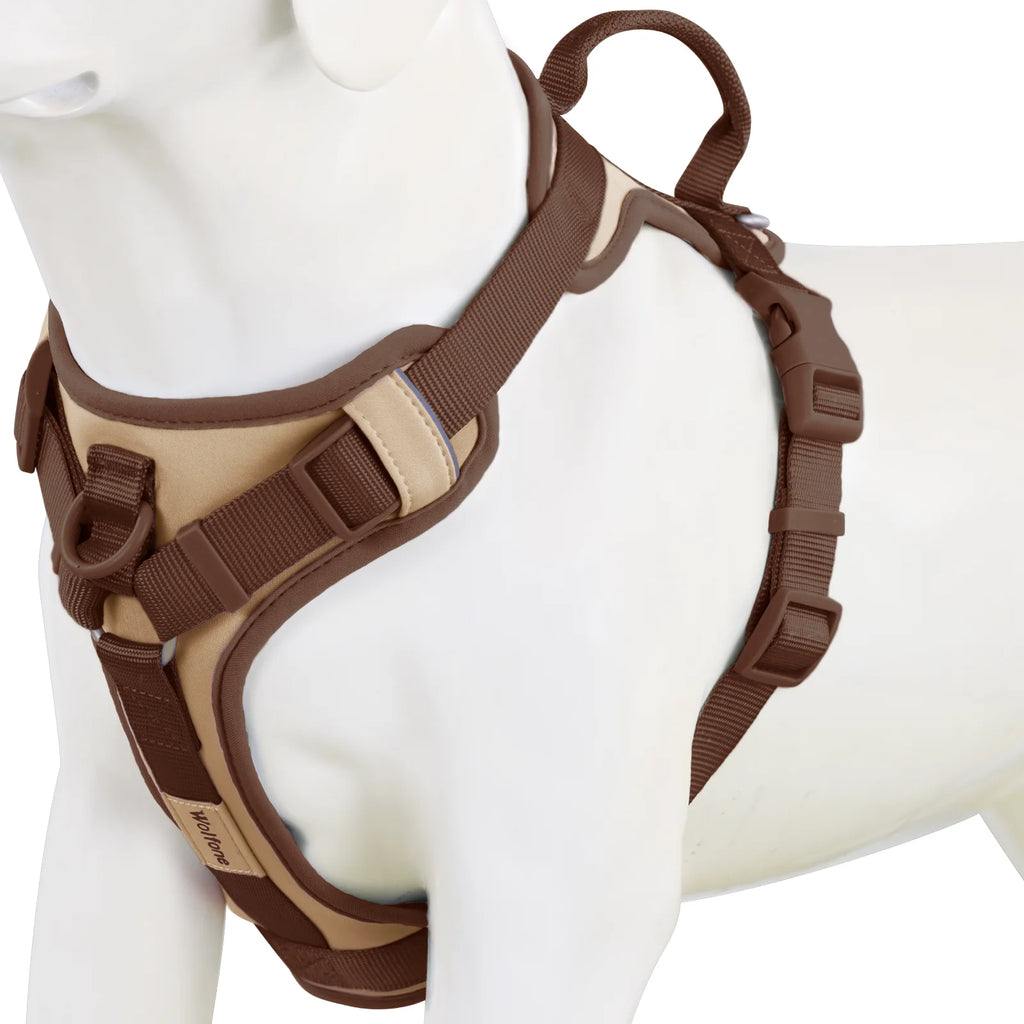 Spliced Color Luxury Dog Harness, No-Pull, Adjustable for Small & Large Dogs