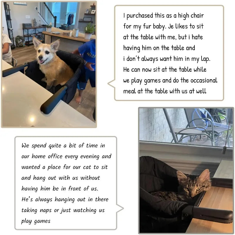 Portable Adjustable Pet Feeding Booster Seat – Cat & Dog High Chair