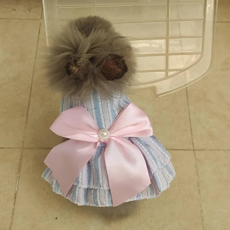 Pet Cat or Puppy Princess Dress