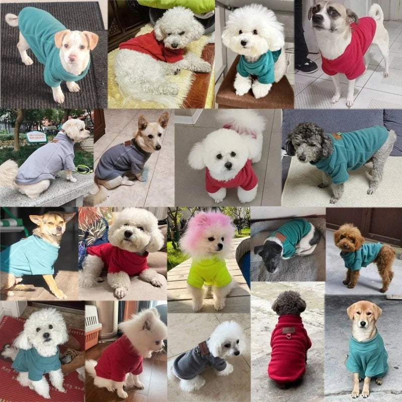 Winter Warm Hoodie for Small Dogs