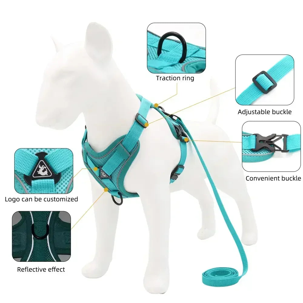 No-Pull Adjustable Dog & Cat Harness Set, Reflective Mesh