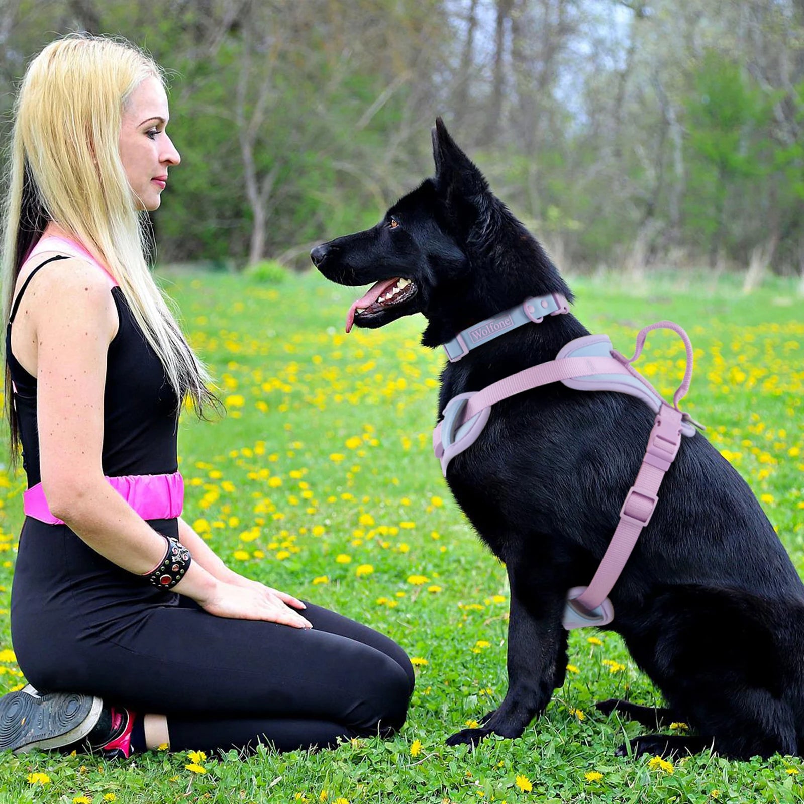 Spliced Color Luxury Dog Harness, No-Pull, Adjustable for Small & Large Dogs