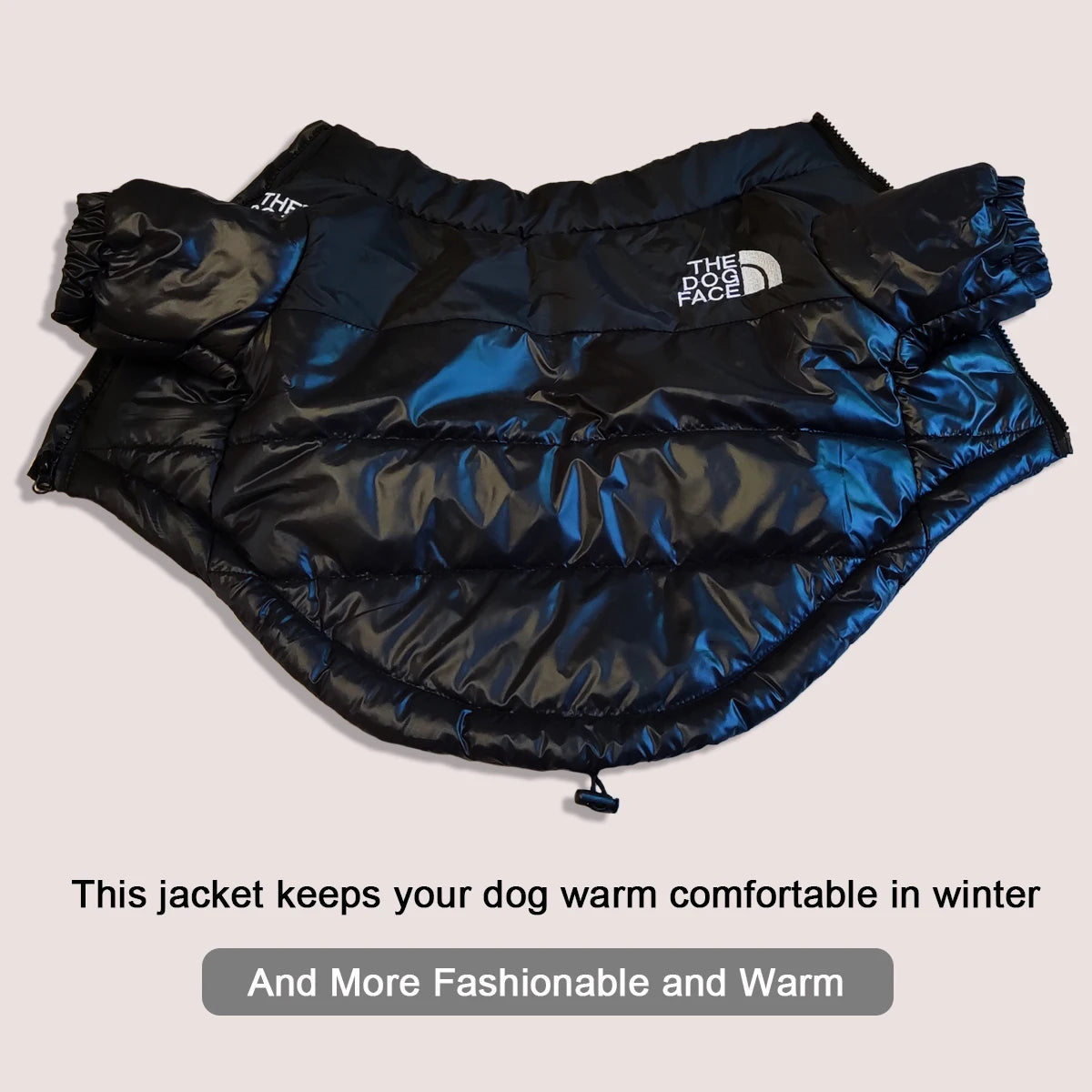Winter Pet Dog Clothes - Jackets