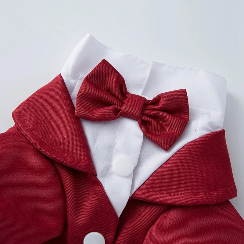 Dog Tuxedo – Formal Wedding Suit with Bow Tie for Small & Medium Dogs