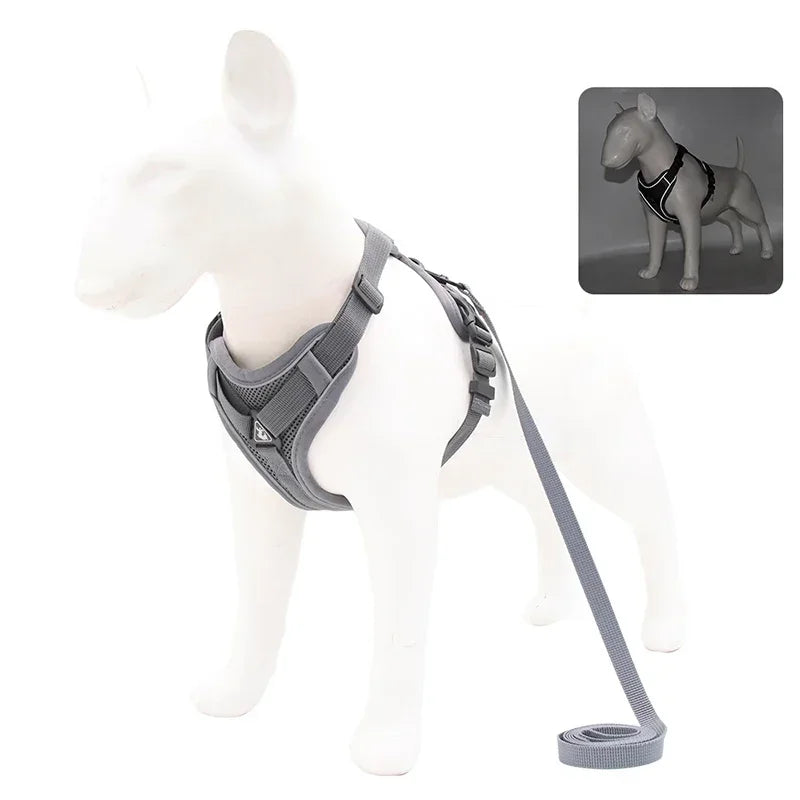No-Pull Adjustable Dog & Cat Harness Set, Reflective Mesh