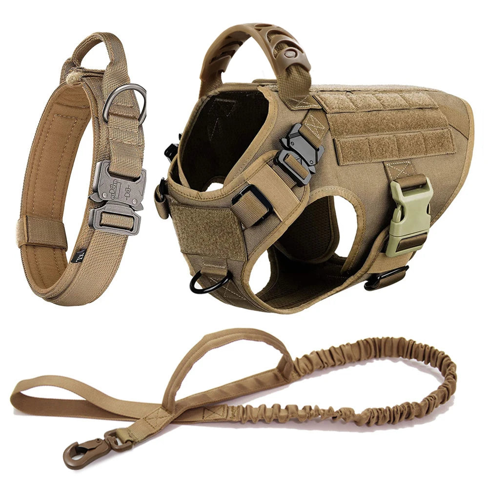 Large Dog Harness & Leash Set – Training Vest