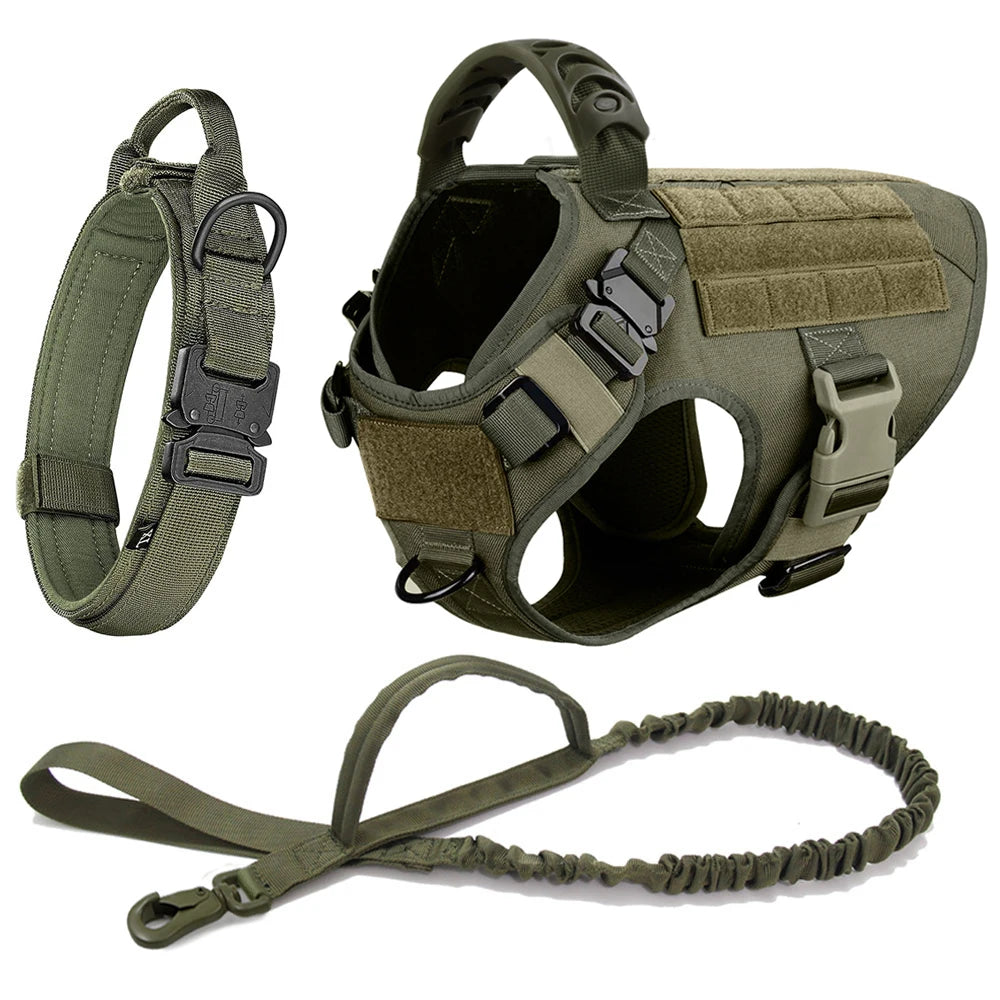 Large Dog Harness & Leash Set – Training Vest